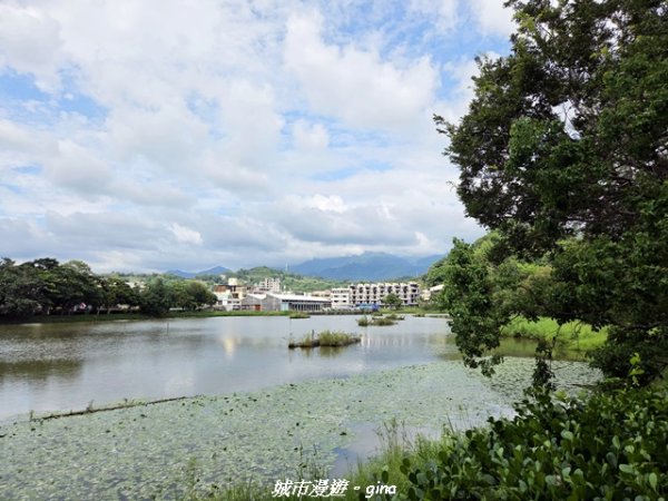 【台中東勢】東勢林業文化園區x許良宇圖書館3081520