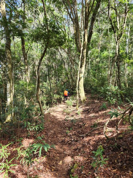 112/2/11芝生毛台山、屯野生炮台2148109