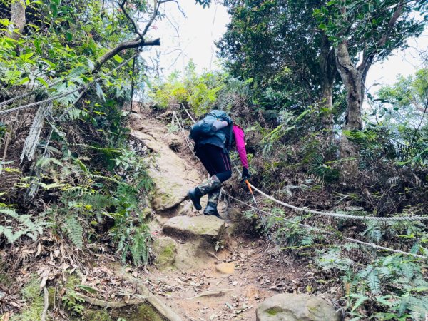 1140319仙山-仙山南峰2738249