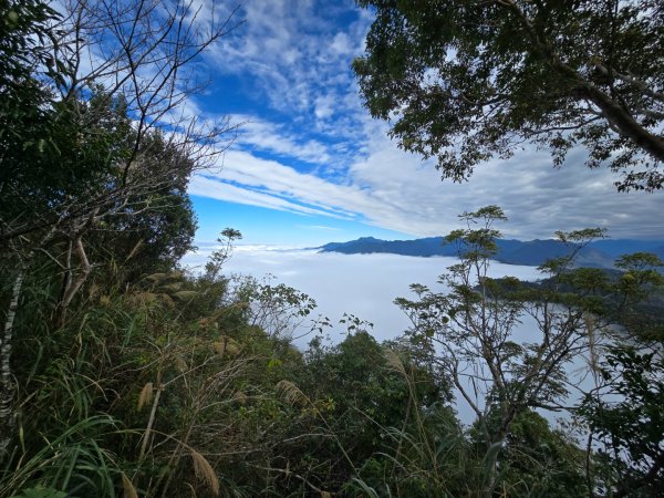 馬那邦山之雲海／雲瀑／楓紅／太陽琉璃光2668282