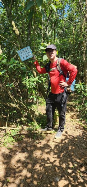 20250322遠望坑古道-龜媽坑古道中線-虎子山古道2743268