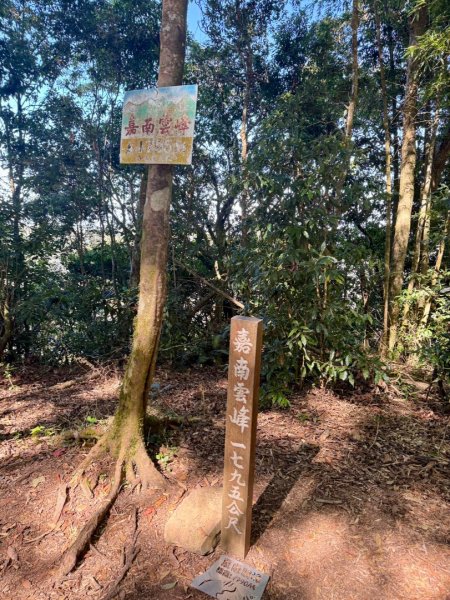 九穹神木 左訪嘉南雲峰 右到好望角看風景上石壁山(小百岳#55)2944847