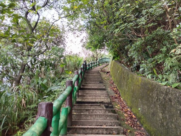 瑞芳區金瓜石砲台山+無耳茶壺山(黃金三稜)+煙囪(山)稜(黃金二稜)+水管路O型2926202