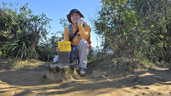 2025貓空樟樹步道花海搶先看，展期：1月18-2月9日，喜歡小冒險可以挑戰攀爬路線猴山岳。2691447