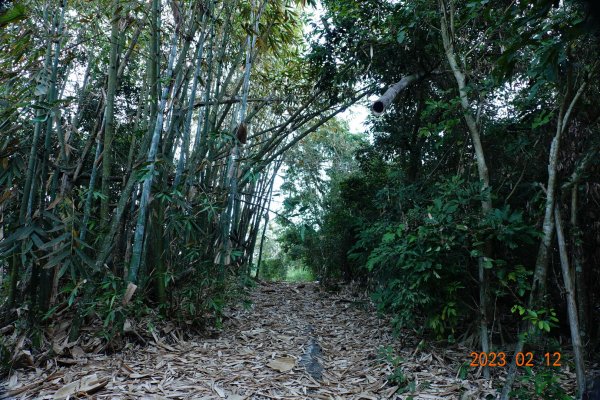 高雄 那瑪夏 頂河表湖山(河表湖山、霍比亞湖山)2032156