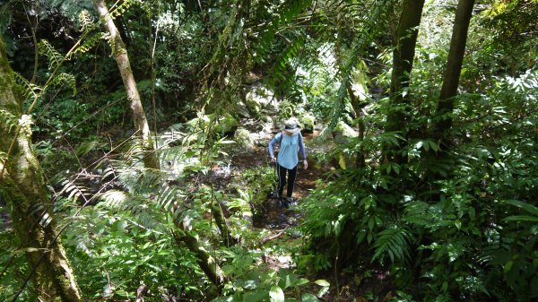 溪畔古道連走四堵古道登山健行趣(淡蘭南路TK3-9)1813812