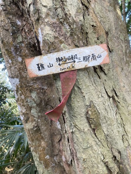 20260214三竹縱走;三腳南山+竹仔尖山3001692