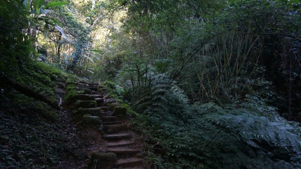 打鐵寮 草嶺山 石龜坑山 白石山連走1265217