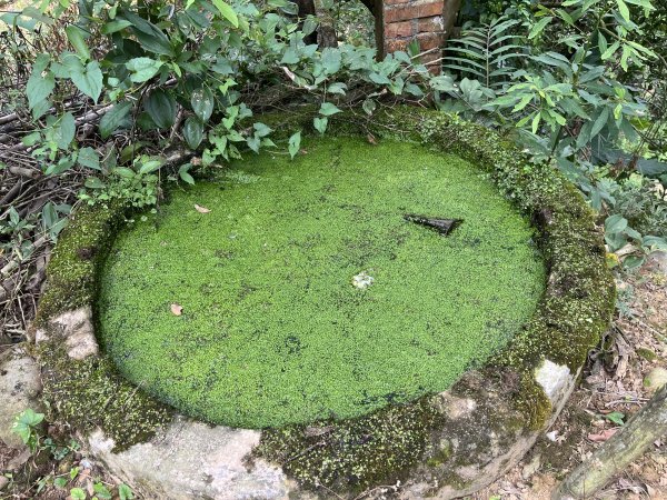 [皮皮獅探險隊-04/10] 2025_0706 三段崎古道2831757