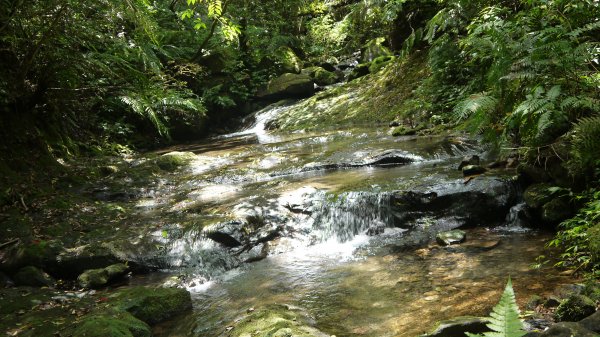 溪畔古道連走四堵古道登山健行趣(淡蘭南路TK3-9)1813813