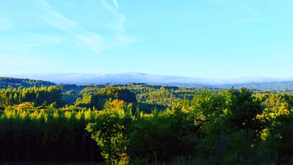 西班牙朝聖法國之路115KM, Day43125833