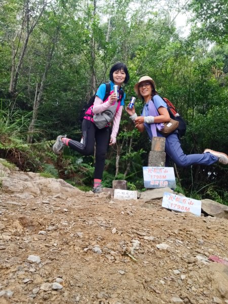 【新竹五峰】迷霧山林。 民都有山登山步道(面托油山)x民都有山北峰2991853