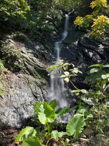 戶亞宇山基點峰-戶亞宇山主峰 2025.6.152815041