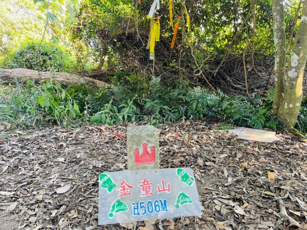 1141207金童山2957719