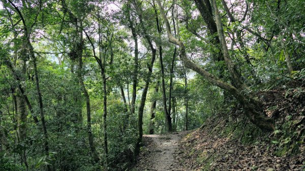 福山部落,內洞森遊區2552458