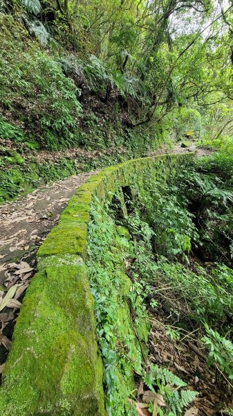 擎天崗系步道巡禮2104331