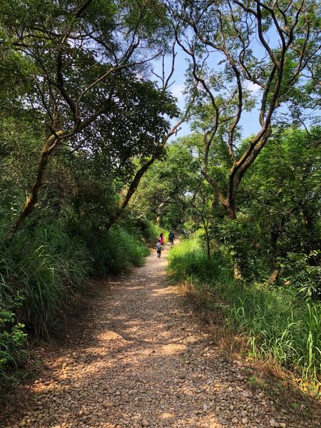 鐵砧山登山步道397598