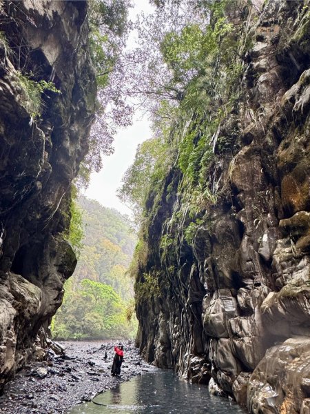 季節限定武界一線天、 摩摩納爾瀑布2738439