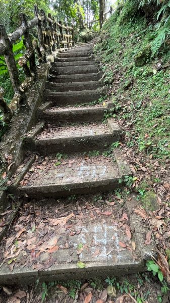 微笑山線【二格山系】筆架連峰段