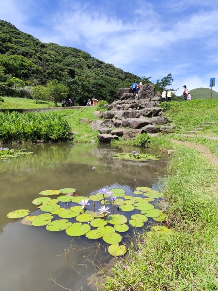 二子坪、二子山西峰、二子山東峰、大屯自然公園、菜公坑山、陽明山前山公園【臺北大縱走 1&2】2540936