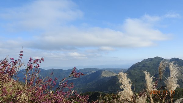 秋高氣爽芒花季再度陽明山天際線-七星山主東峰+大屯山主南西峰向天面天山O型+小觀音山主西南峰共10峰1511205