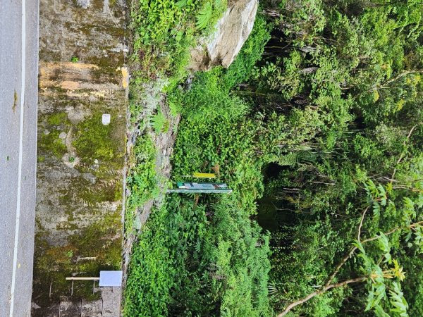 【百岳】雲海的浪漫，羊頭山單攻3045312