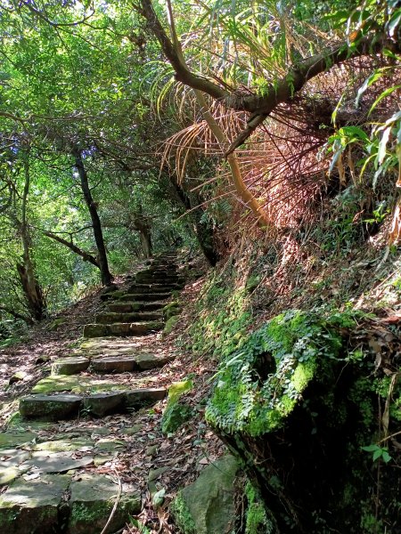 悠遊陽明山前山公園、紗帽山1846183