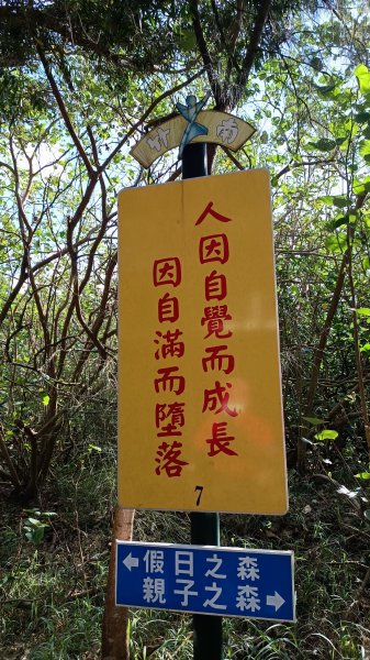 南山神壽：竹南海濱森林步道1901528