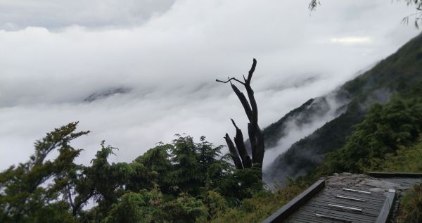 菜鳥新手之玉山主峰372161