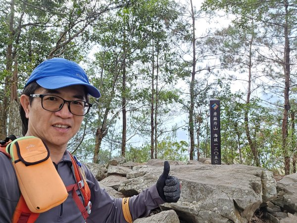 蝶夢八唐（裡冷登山口往返）八仙山出雲海下山順賞富士櫻2722730