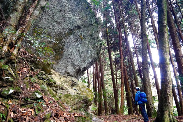 樂山舊鐵道順撿鹿坑山1320441