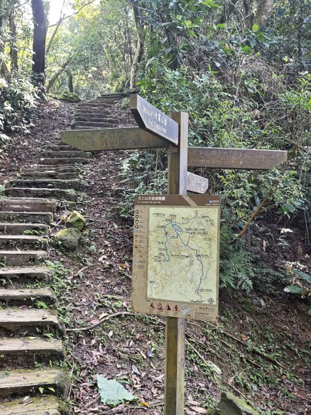 2026-0221造鎮-太極嶺-桐花公園-承天禪寺-永寧站3005806