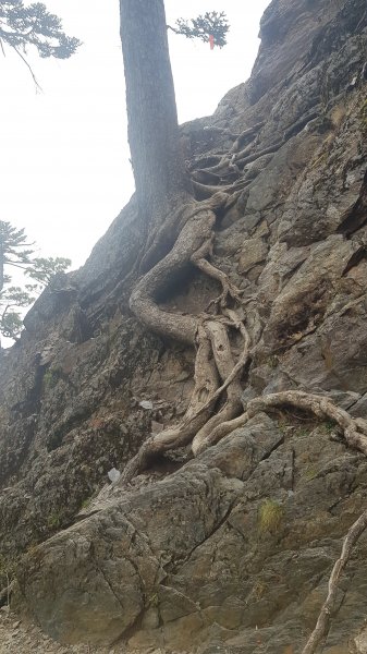 玉山西峰山神祠714164