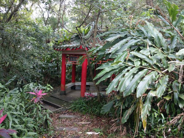 新店小獅山訪11座涼亭縱走待老坑山尋山頭902164