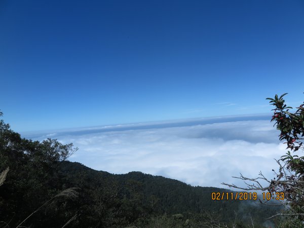 加里山雲海美景725079