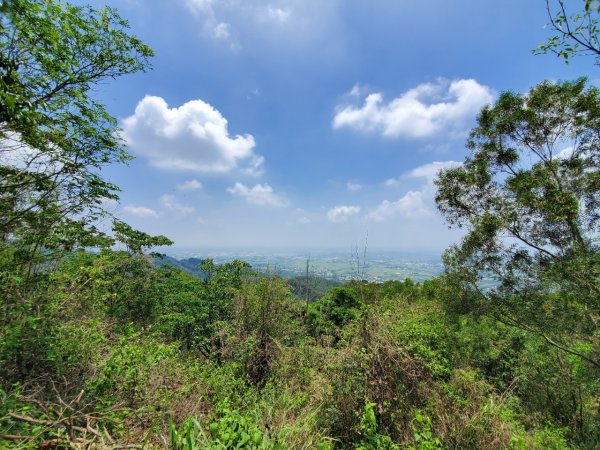 【彰化 | 橫山】975456