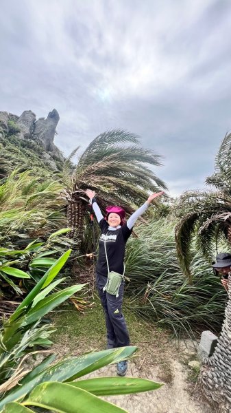 12/14(六)⭐墾丁恆春縱走~墾丁牧場-遙望大尖山-小尖山-大山母山(小百岳)-下石牛溪出赤牛嶺⭐2669338