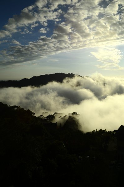 震撼雲海的季節~~快去薑麻園等待決不會讓你失望2379500