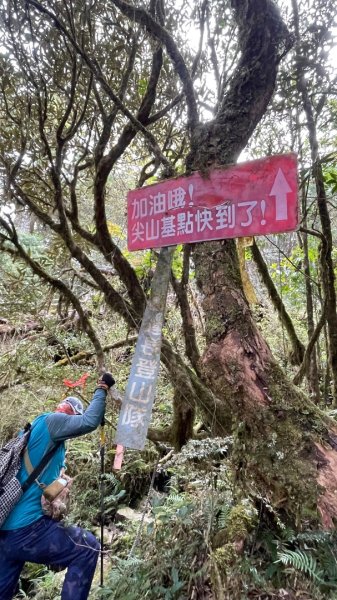 塔魔巴2天1夜來回/復興尖-四稜溫泉3033693