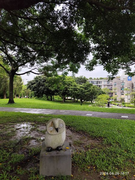 內湖瑞光公園3083351