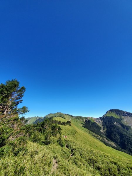 合歡南峰-主峰蹤走705806