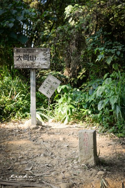 高雄阿蓮-大崗山步道1433216