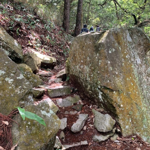 20240609 谷關東卯山(公子登山隊)2523439