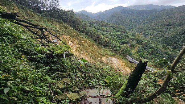 20251115冷水大山-頂中股山2936647