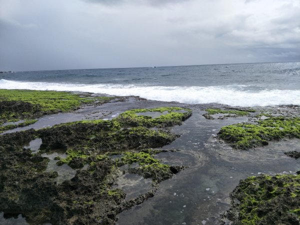 九棚草原-海岸1346360