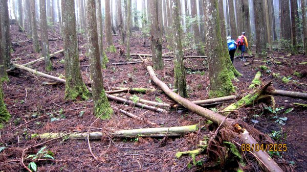 【油羅山/露營】 仙境舒活健走，雲端徜徉野趣！2887925