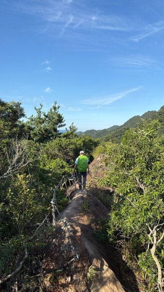 岩壁上的花、艷紅鹿子百合（12868983