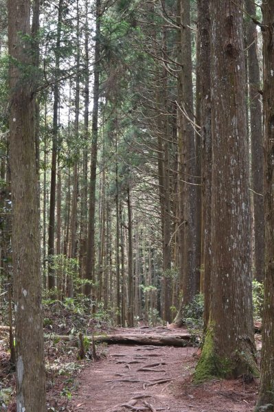 中級山-高島縱走2888381