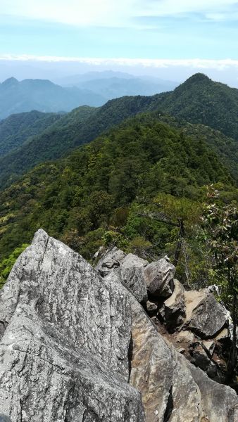 20180526鳶嘴山紀行346481