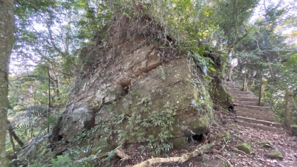 十份棟古道出雲端2688958